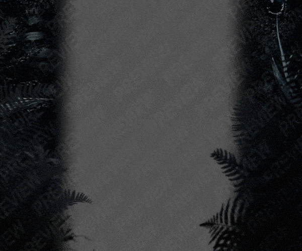evolve-preview-1